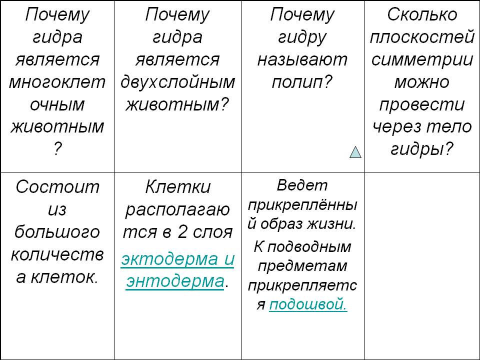 Кракен зеркало сегодня