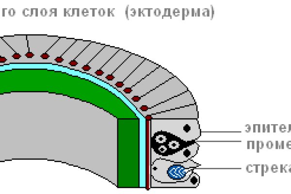 Какая ссылка у кракена