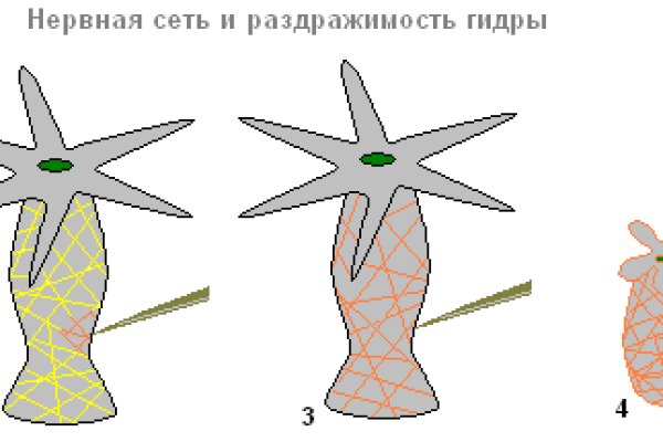 Кракен как войти через тор